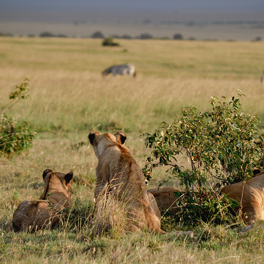 Kenya Experience