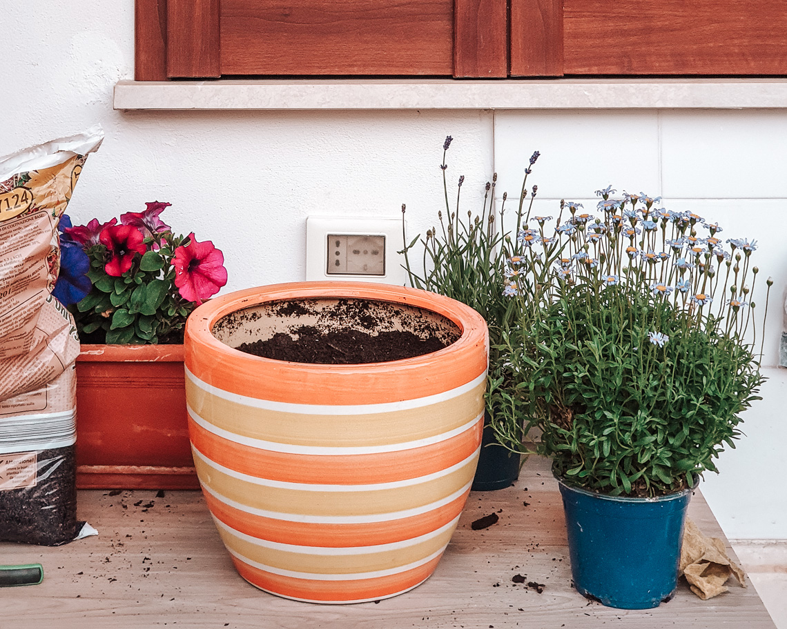 Fare giardinaggio è un'attività rilassante e dà molta soddisfazione - Condividiamo il viaggio
